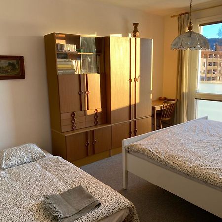 Apartman Pod Studenou Horou Rokytnice nad Jizerou Kültér fotó