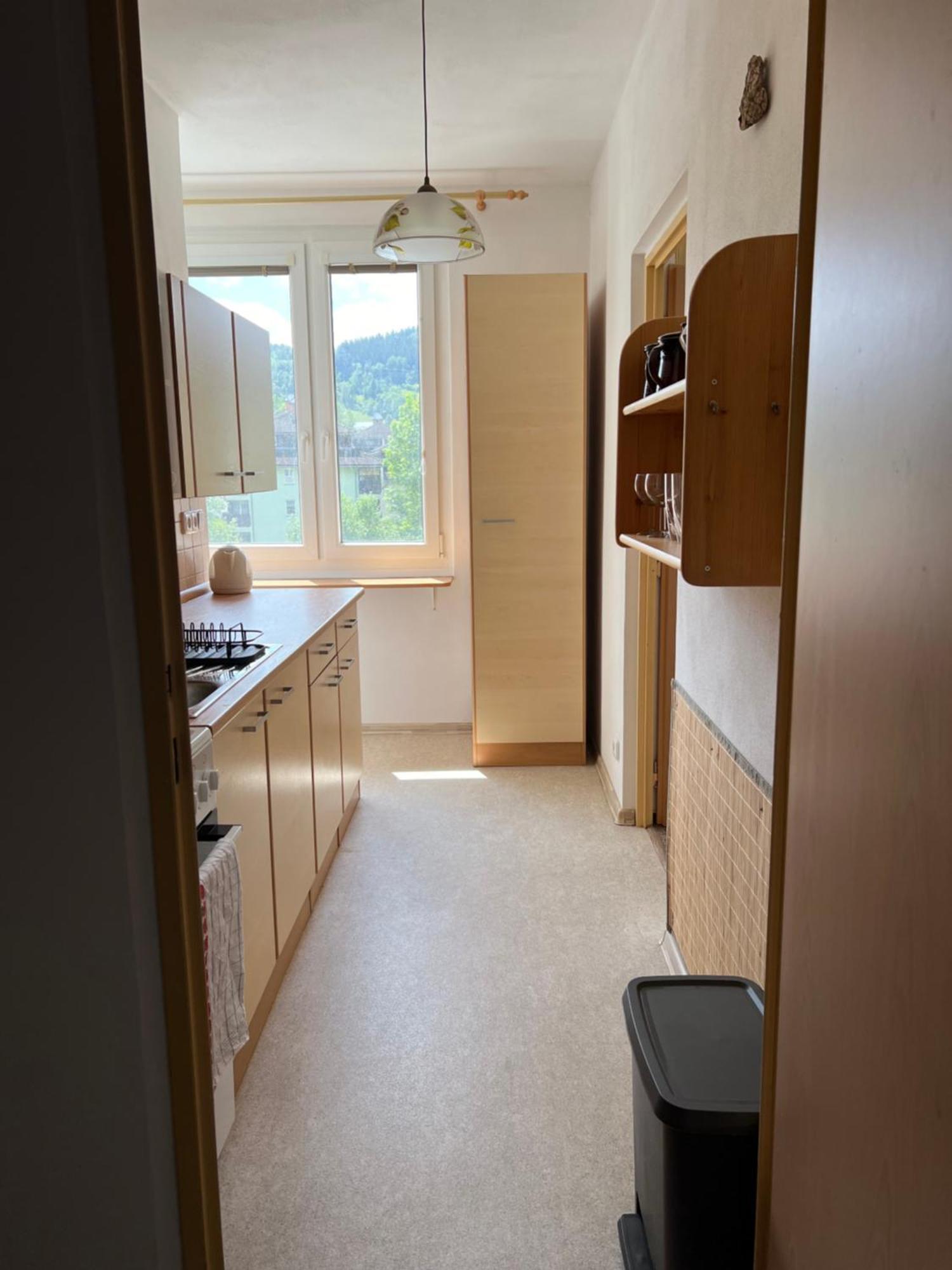 Apartman Pod Studenou Horou Rokytnice nad Jizerou Kültér fotó